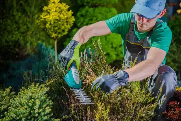landscaping services Palatine Bridge